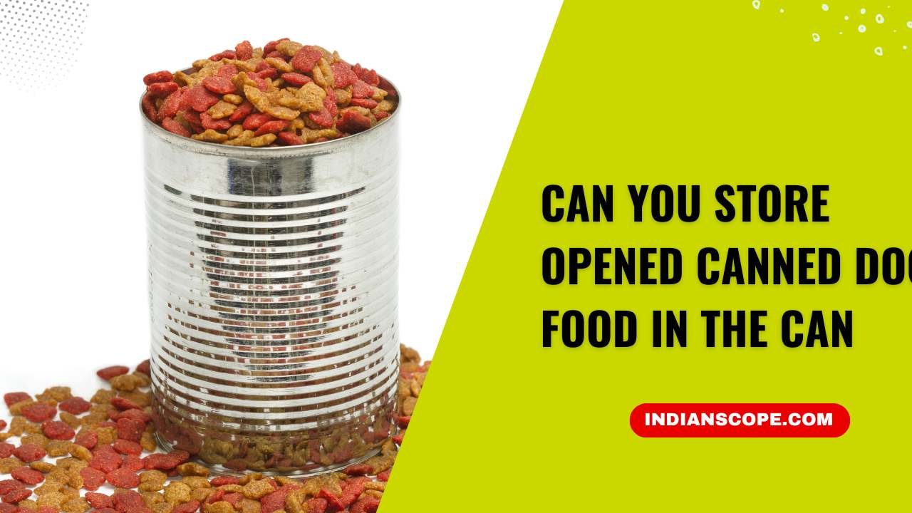 Can You Store Opened Canned Dog Food in the Can