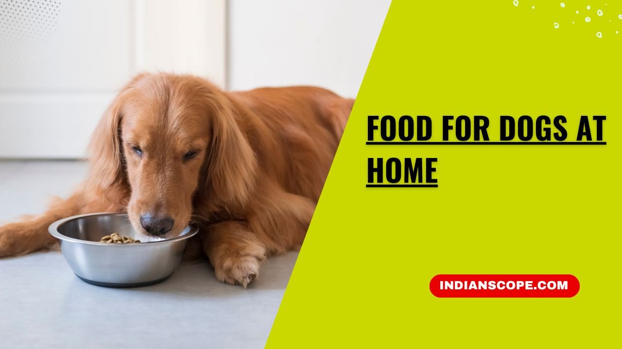 Food for Dogs at Home
