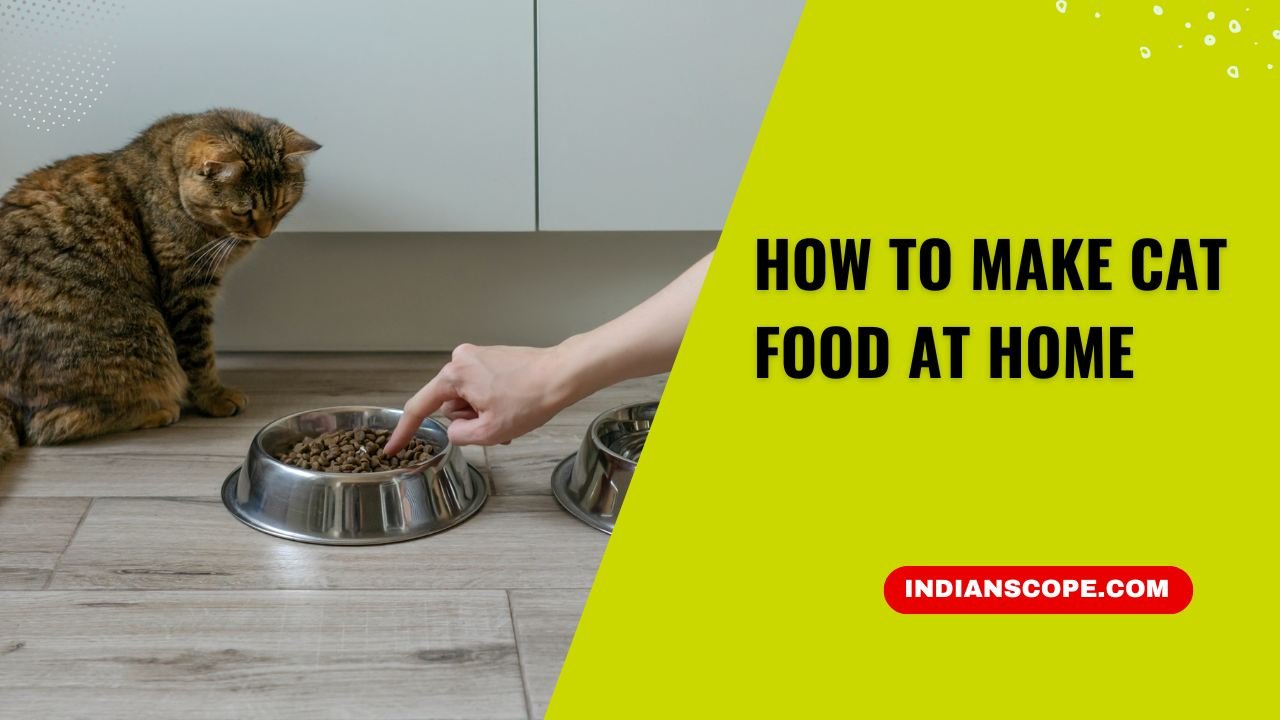 How to Make Cat Food at Home