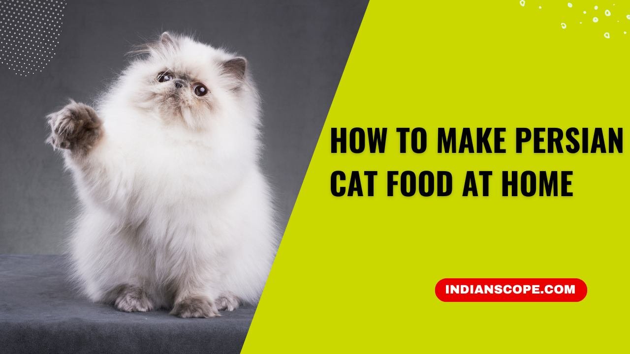 How to Make Persian Cat Food at Home: A Guide for Cat Lovers 13 How to Make Persian Cat Food at Home