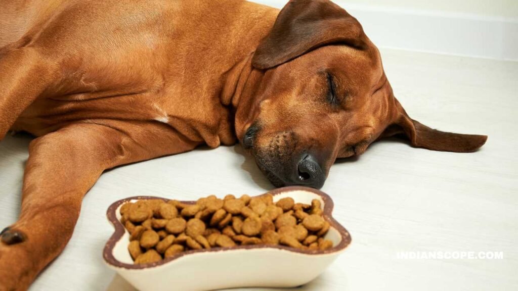 22 Foods That Can Kill Your Dog: What You Need to Know 1 22 Foods That Can Kill Your Dog
