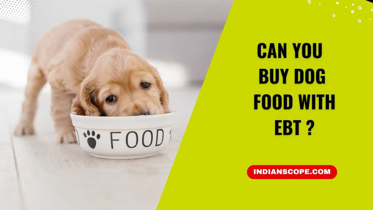 Can You Buy Dog Food with EBT