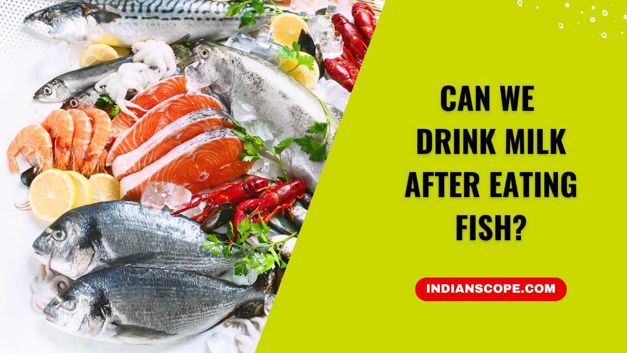 Can We Drink Milk After Eating Fish