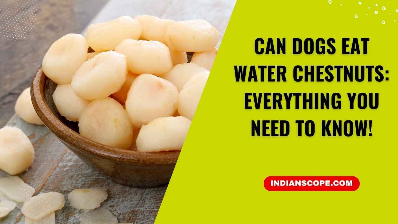 Can Dogs Eat Water Chestnuts