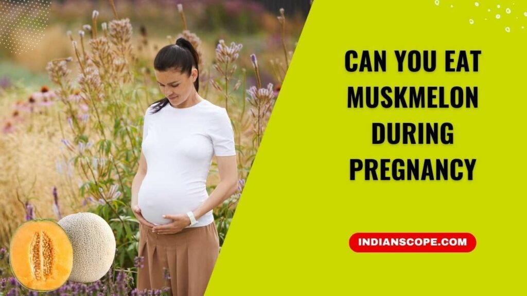 Can You Eat Muskmelon During Pregnancy? A Trimester-Wise Guide 1 Can You Eat Muskmelon During Pregnancy