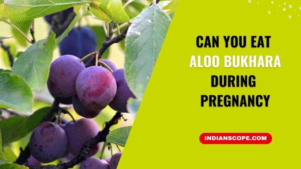 Can You Eat Aloo Bukhara During Pregnancy? A Trimester-Wise Guide with Traditional Insights 1 Can You Eat Aloo Bukhara During Pregnancy