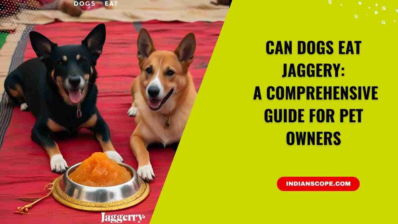 Can Dogs Eat Jaggery