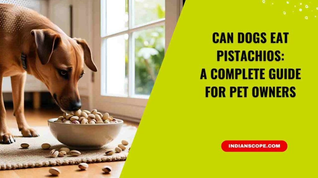 Can Dogs Eat Pistachios? A Complete Guide for Pet Owners 1 Can Dogs Eat Pistachios