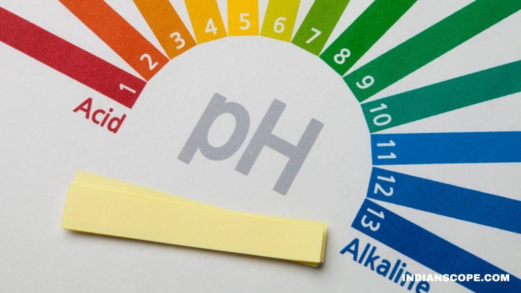 What Is a High Alkaline Diet? A Simple Guide to Balancing Your Body’s pH 2 What Is a High Alkaline Diet