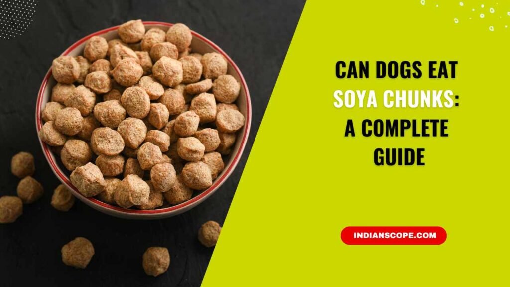 Can Dogs Eat Soya Chunks? A Complete Guide for Pet Owners 1 Can Dogs Eat Soya Chunks