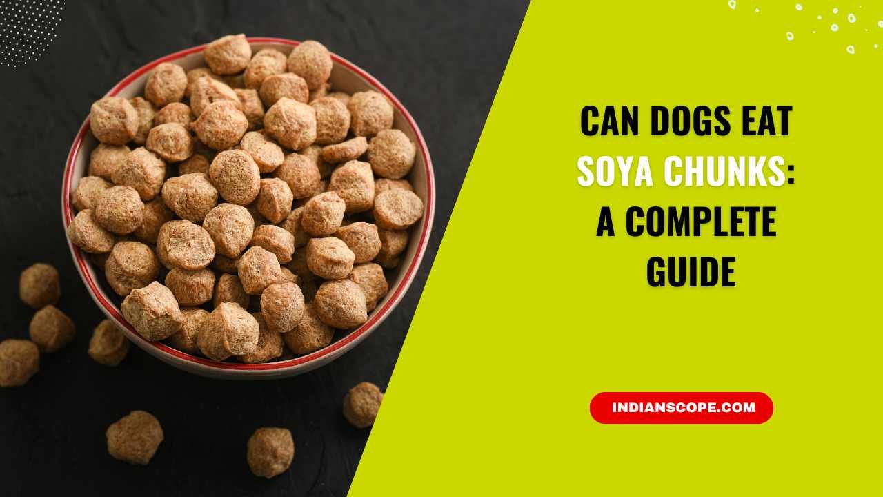 Can Dogs Eat Soya Chunks? A Complete Guide for Pet Owners 13 Can Dogs Eat Soya Chunks