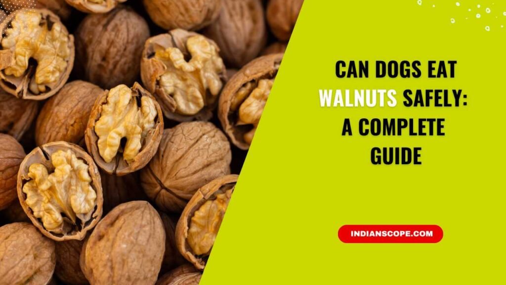Can Dogs Eat Walnuts Safely