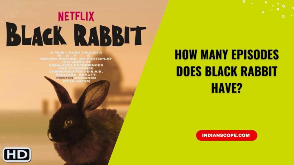 How Many Episodes Does Black Rabbit Have