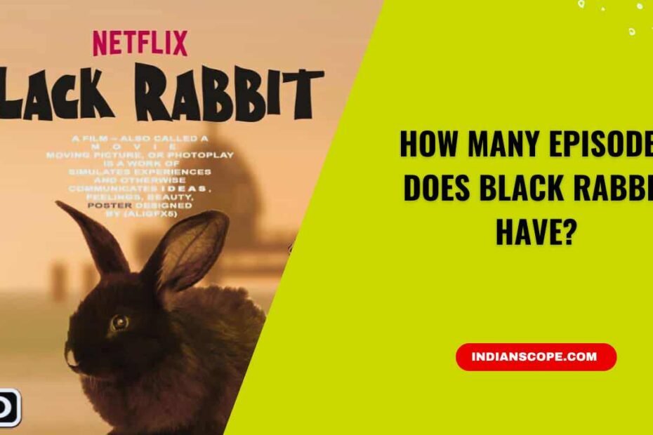 How Many Episodes Does Black Rabbit Have? Full Cast, Plot & Netflix Review 4 How Many Episodes Does Black Rabbit Have