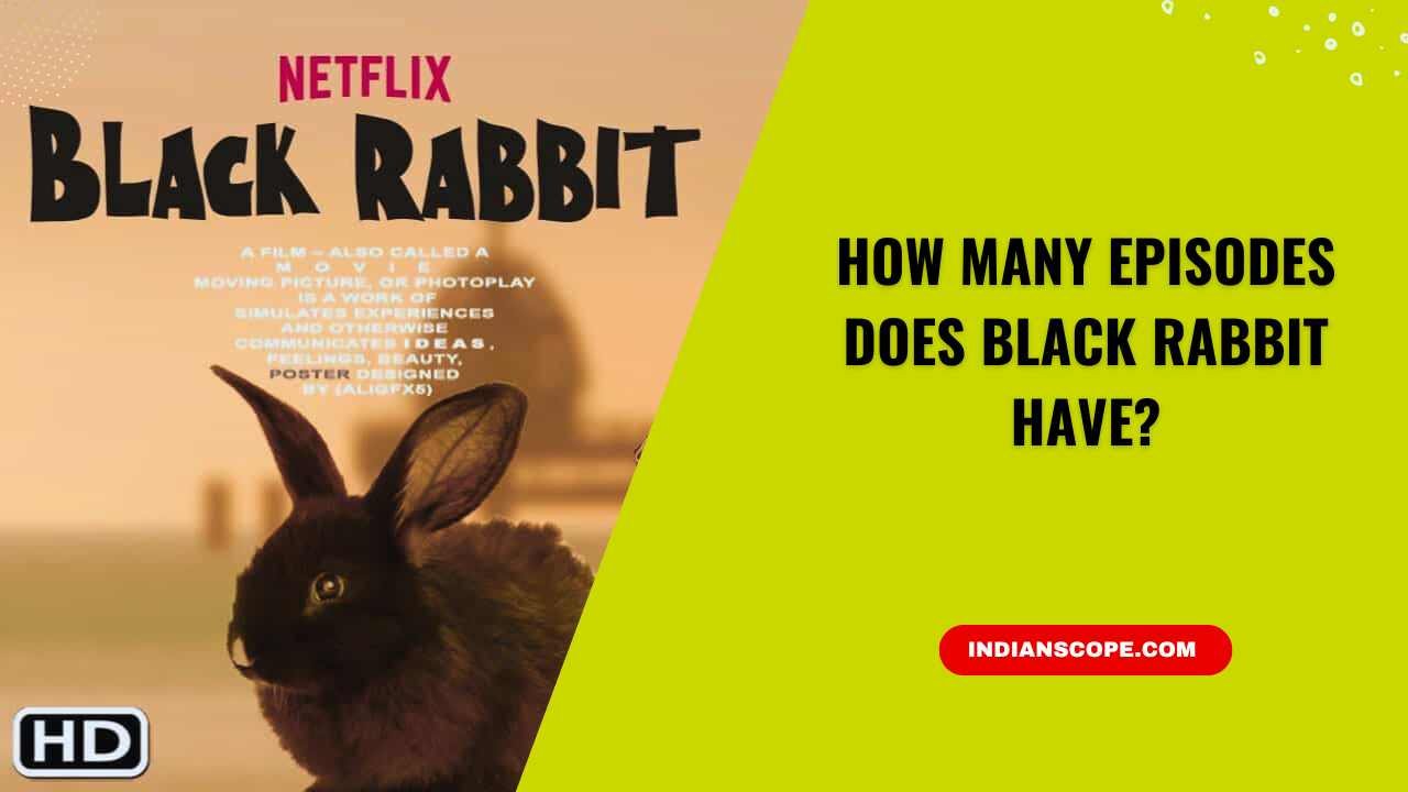 How Many Episodes Does Black Rabbit Have