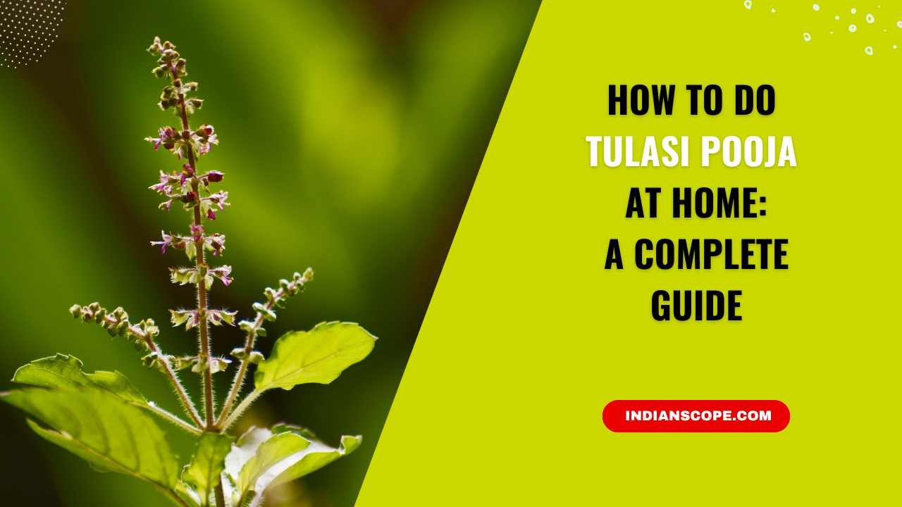 How to Do Tulasi Pooja at Home: Step-by-Step Guide 3 How to Do Tulasi Pooja at Home