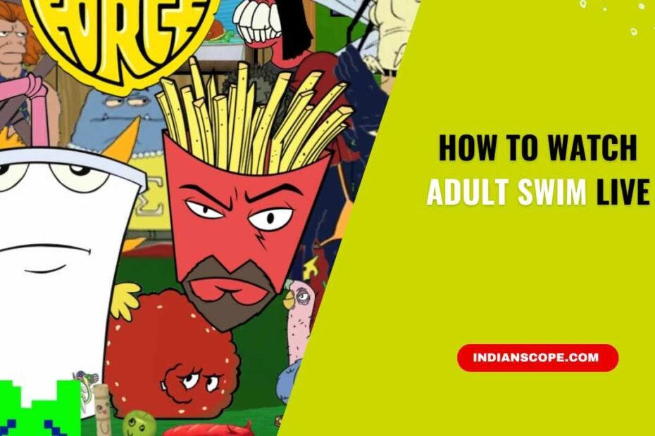 How to Watch Adult Swim Live