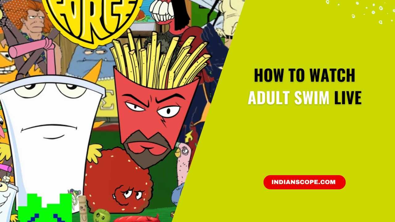 How to Watch Adult Swim Live
