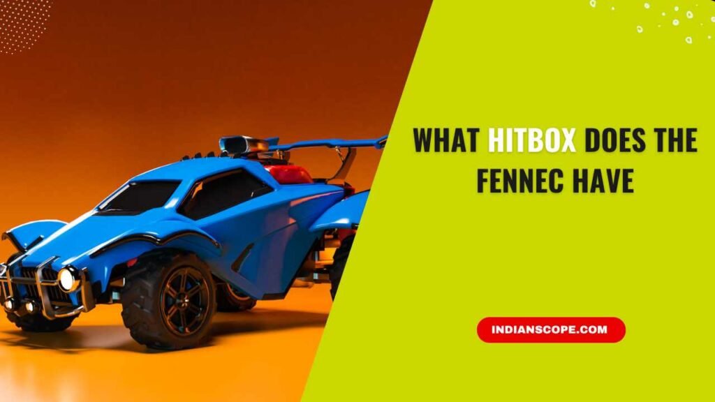 What Hitbox Does the Fennec Have