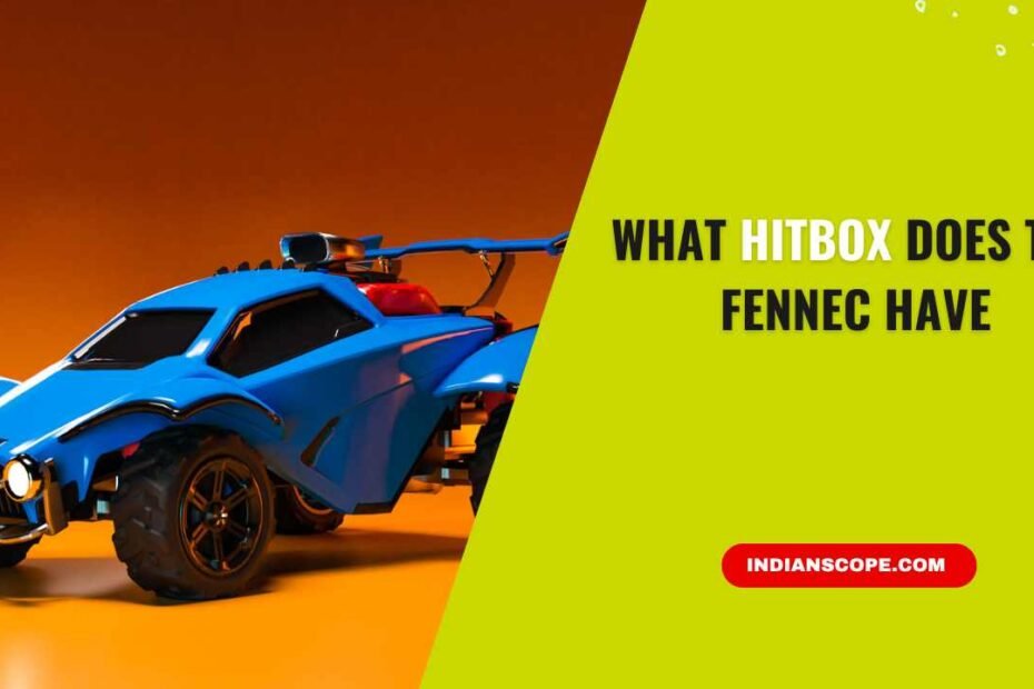 What Hitbox Does the Fennec Have? 13 What Hitbox Does the Fennec Have