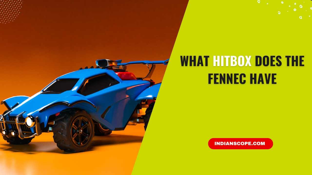 What Hitbox Does the Fennec Have