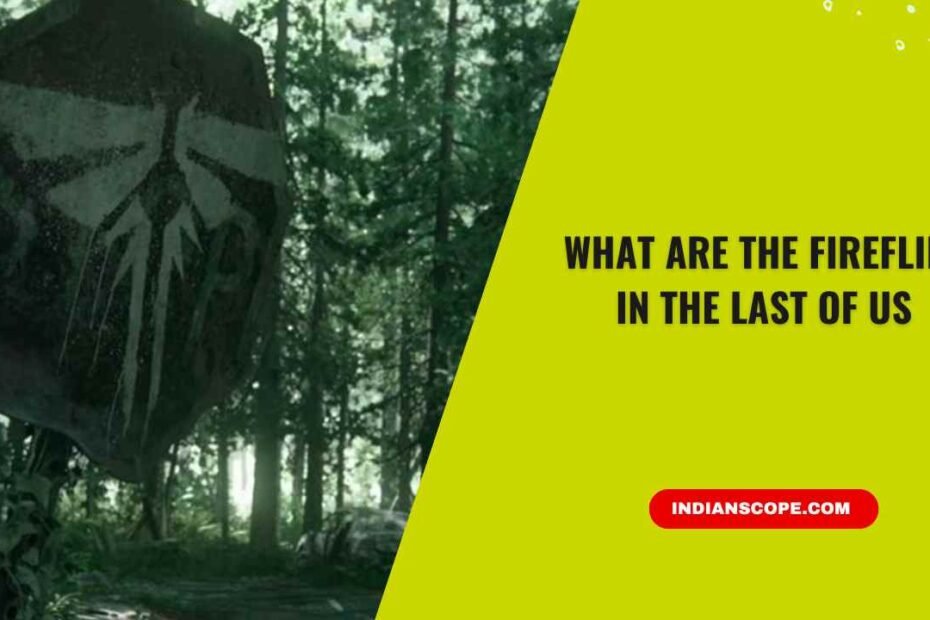 What Are the Fireflies in The Last of Us