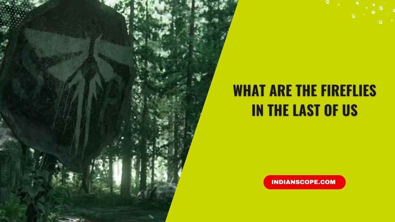 Home 3 What Are the Fireflies in The Last of Us