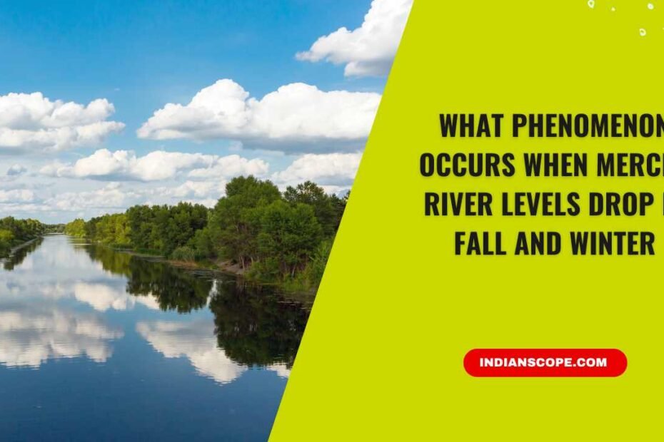 What Phenomenon Occurs When Merced River Levels Drop in Fall and Winter