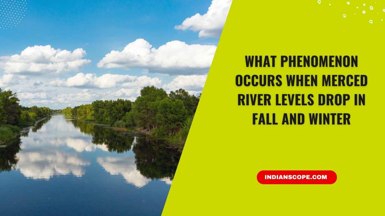 Home 10 What Phenomenon Occurs When Merced River Levels Drop in Fall and Winter