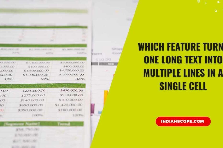 Which Feature Turns One Long Text into Multiple Lines in a Single Cell